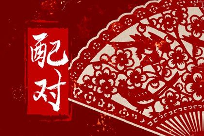 理想对象类型